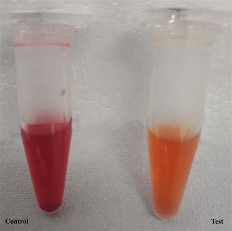 sudan iv test for lipids results|A review of analytical techniques for determination of .